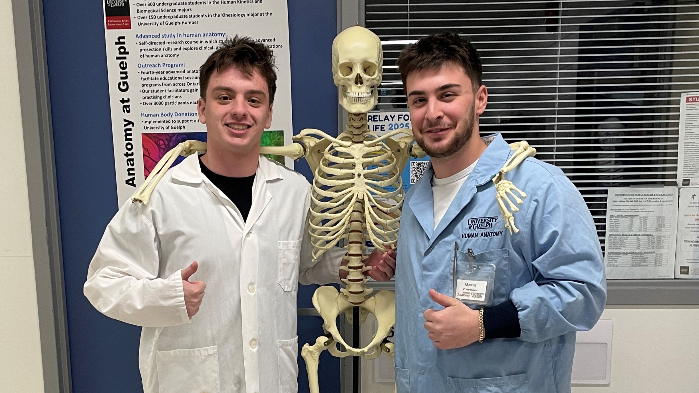 Marcus and Justus stand beside an anatomical skeleton model used for teaching giving the thumbs up at school