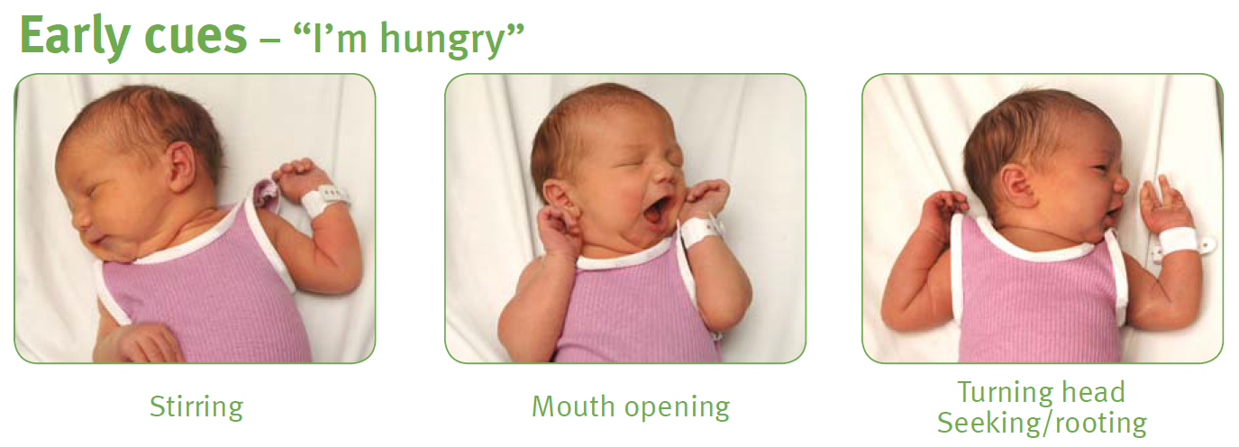 three panel image showing early signs of hunger in your baby.