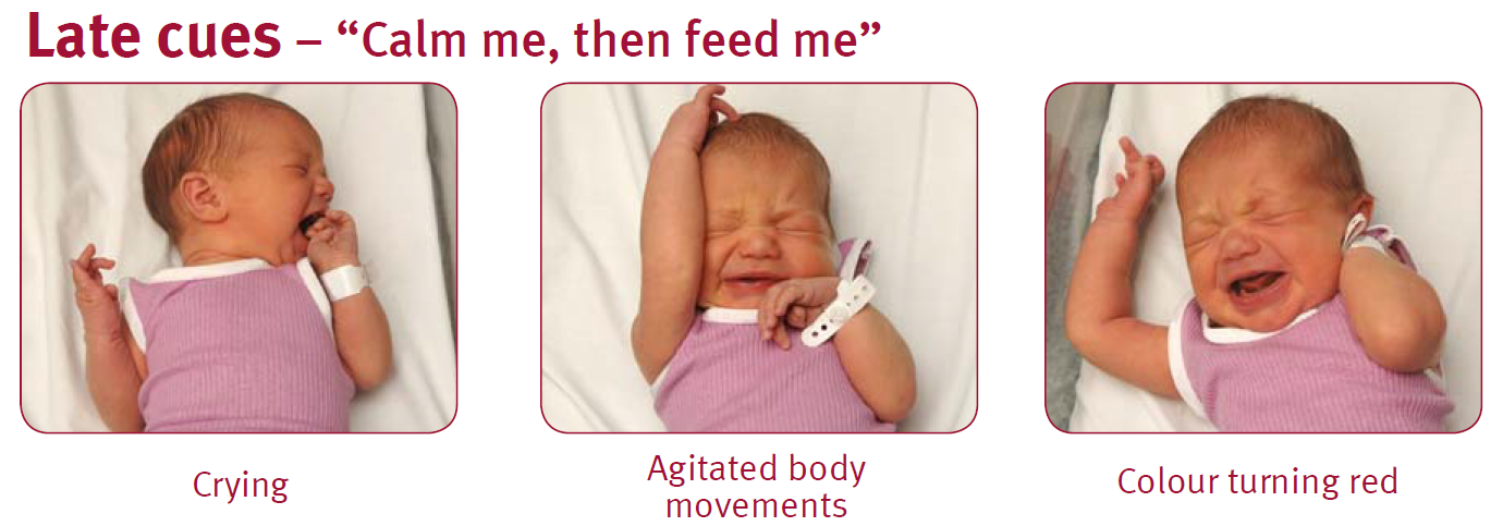 three panel image showing late signs that baby is hungry