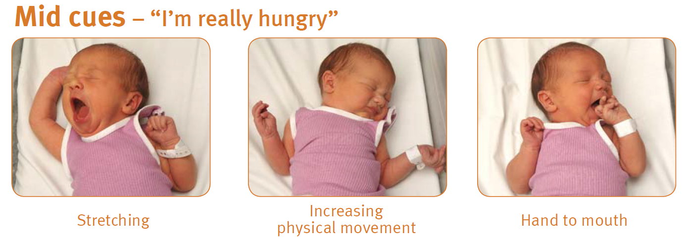 three panel image showing mid cue signs of baby's hunger